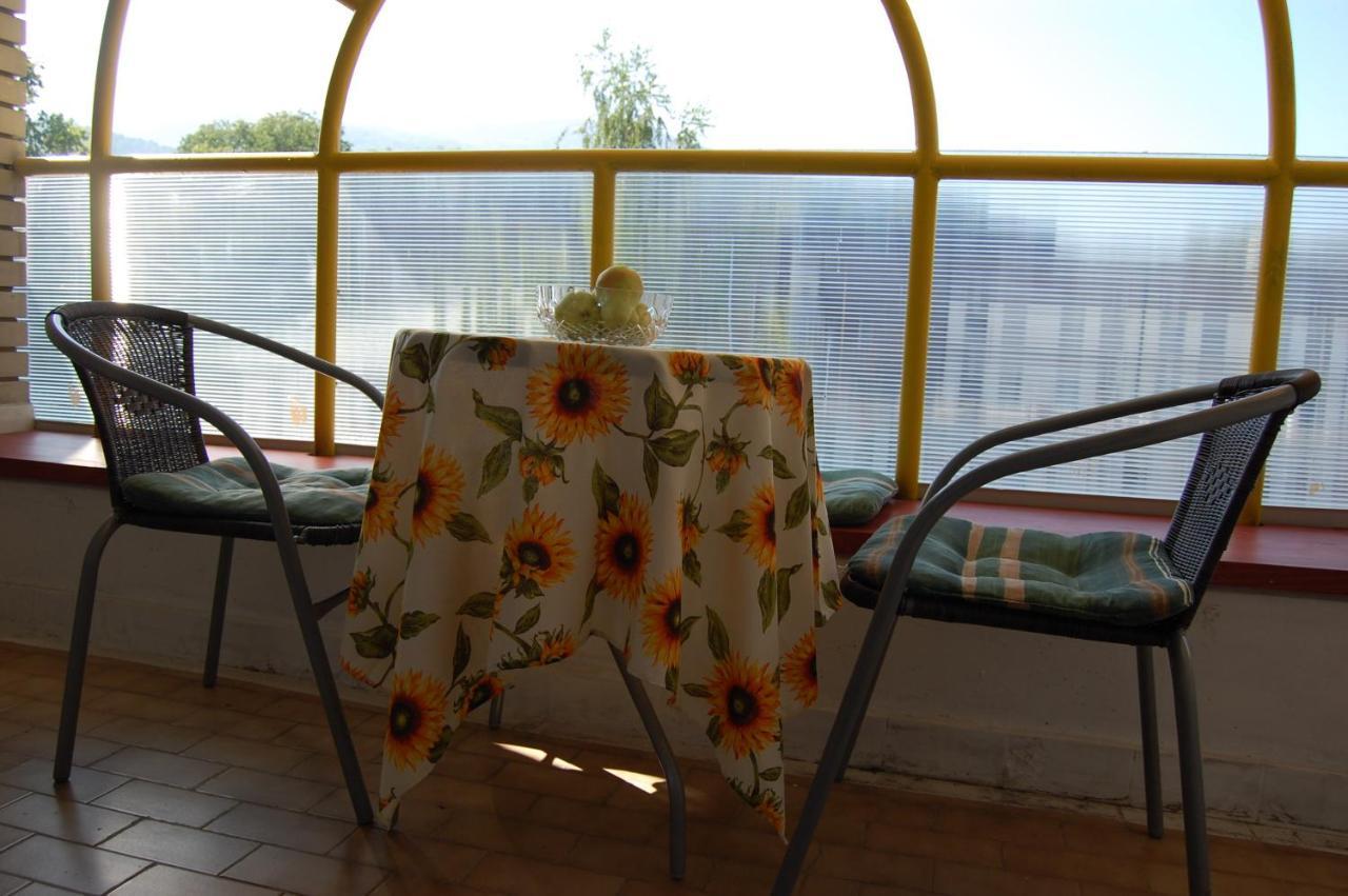 Vila Zora Apartman Banja Koviljača Kültér fotó